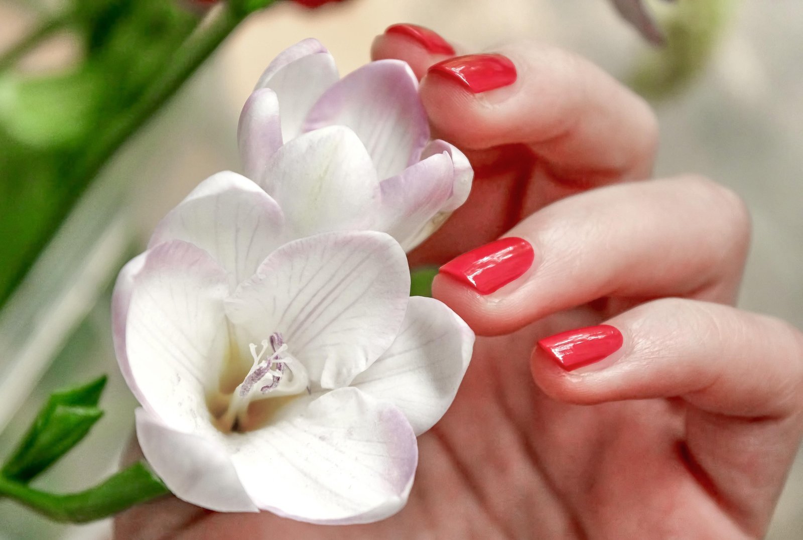 Manicure